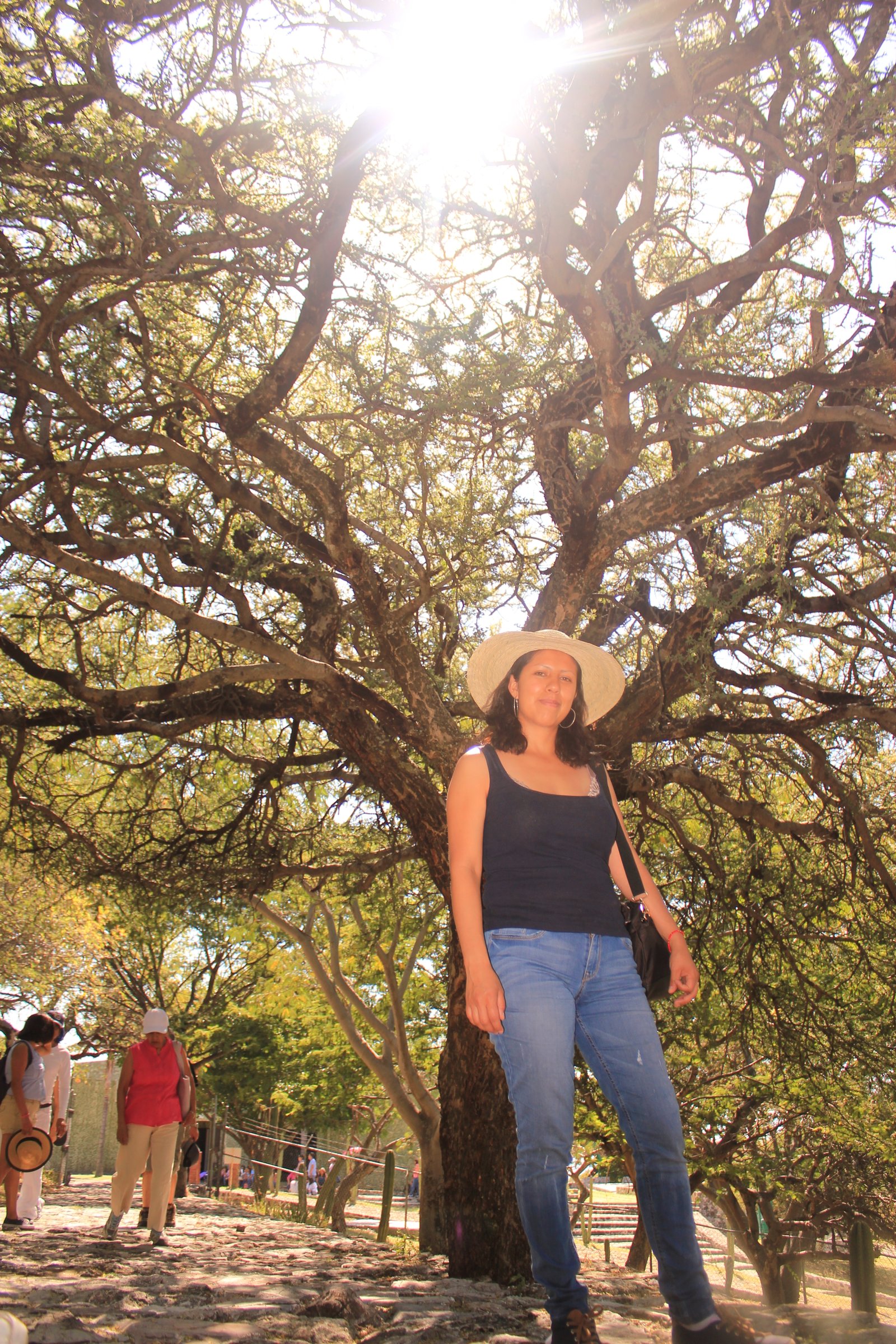 mujer en un arbol