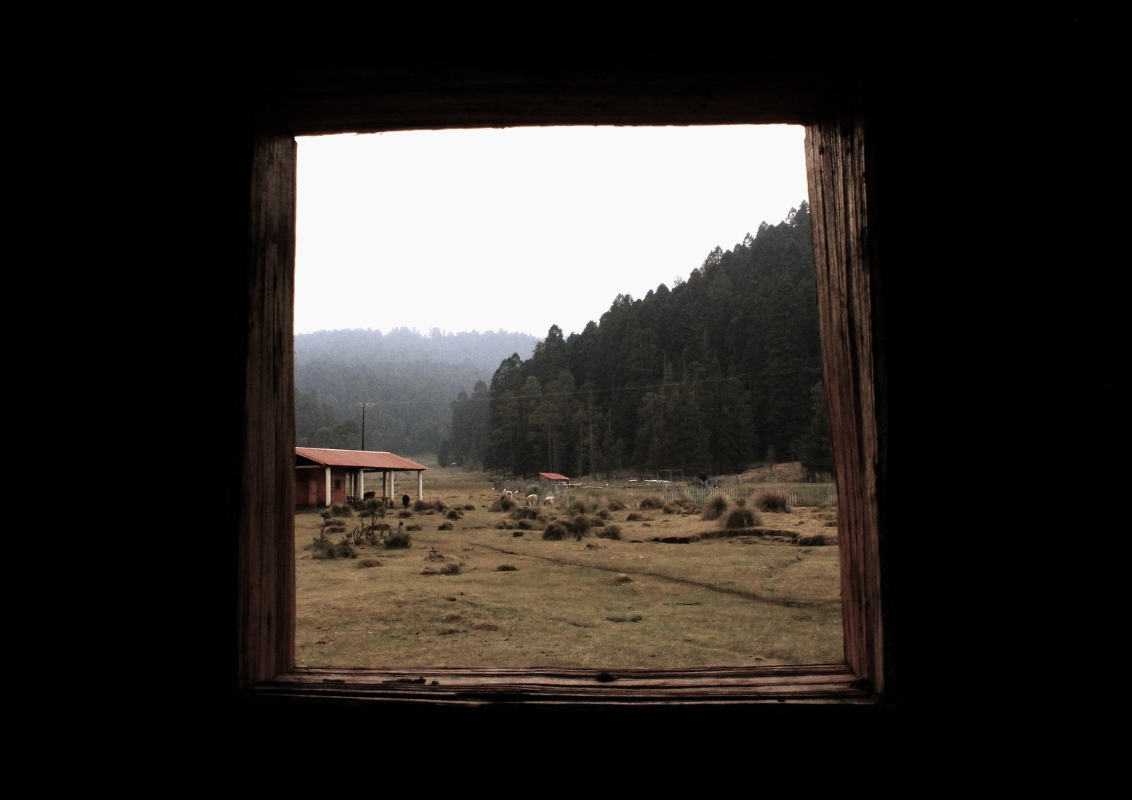 vista desde una cabaña